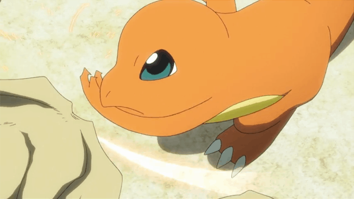 Charmander usa Graffio! Non è molto efficace...