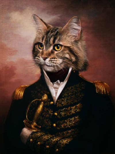 Captain Claw?! DeviantArt