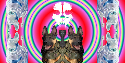 Quei misteriosi 6 GB di RAM forse hanno una spiegazione ora