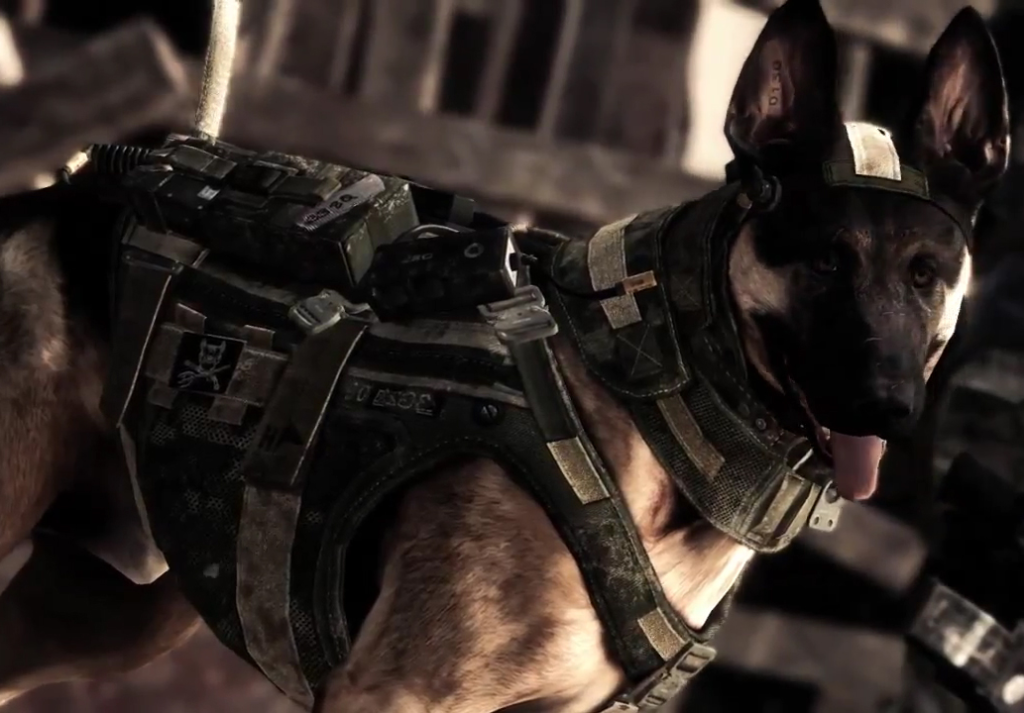 Call of Duty Ghosts - Riley