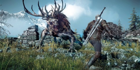 Geralt continua a farci compagnia in attesa dell'uscita