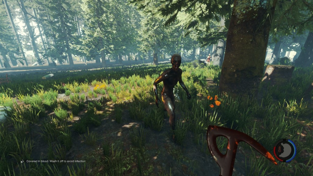 The Forest Early Access