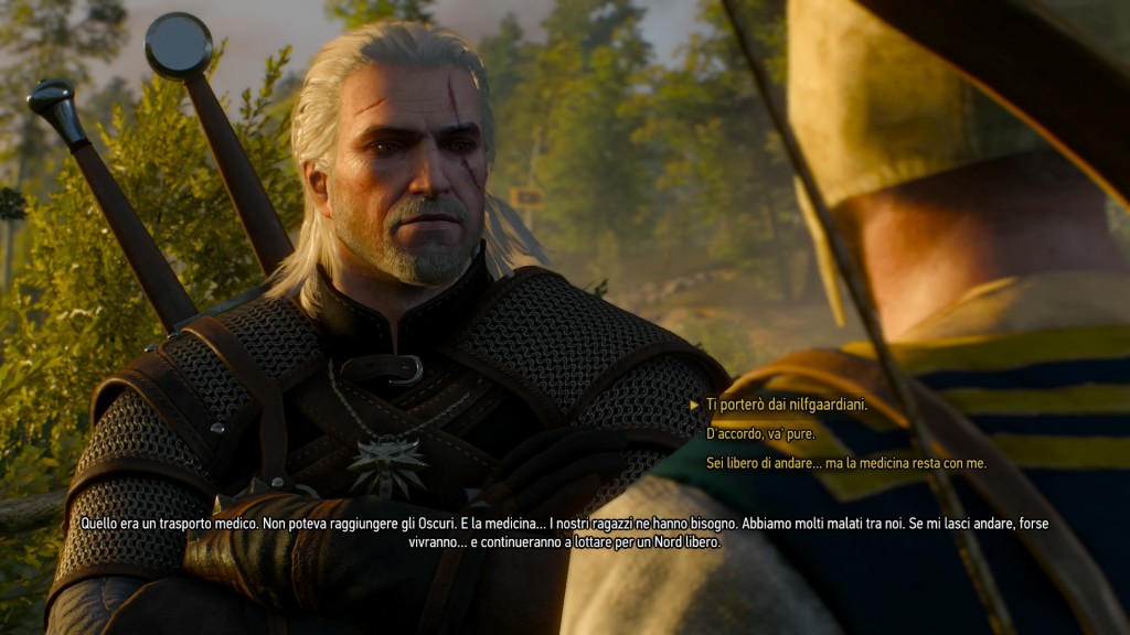 the witcher 3 screenshot 1