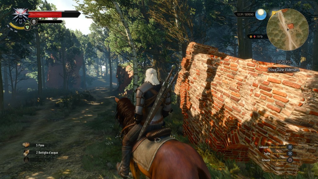 the witcher 3 screenshot 18