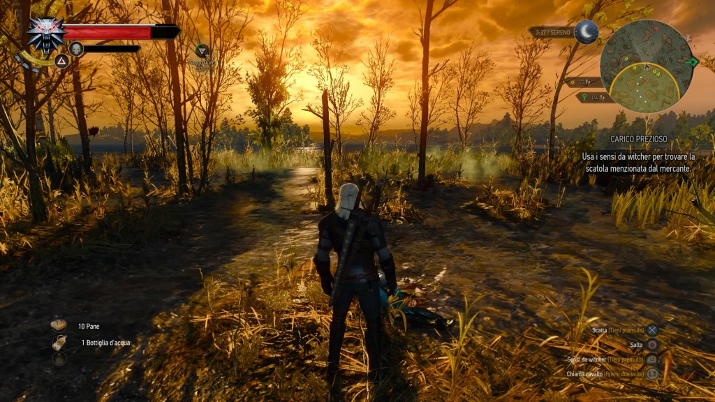 the witcher 3 screenshot 17