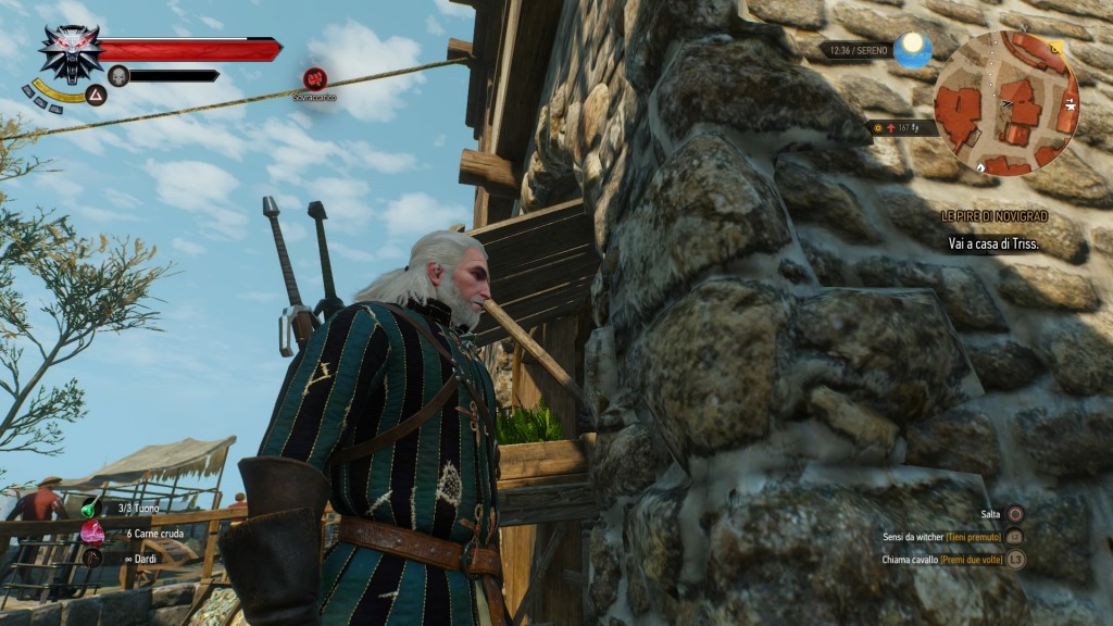 the witcher 3 screenshot 20