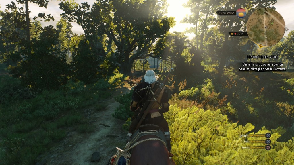 the witcher 3 screenshot 9