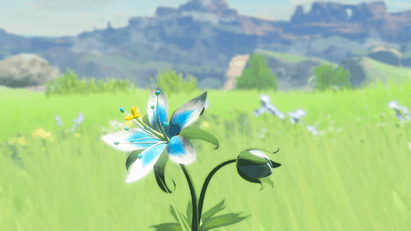 Breath of the Wild