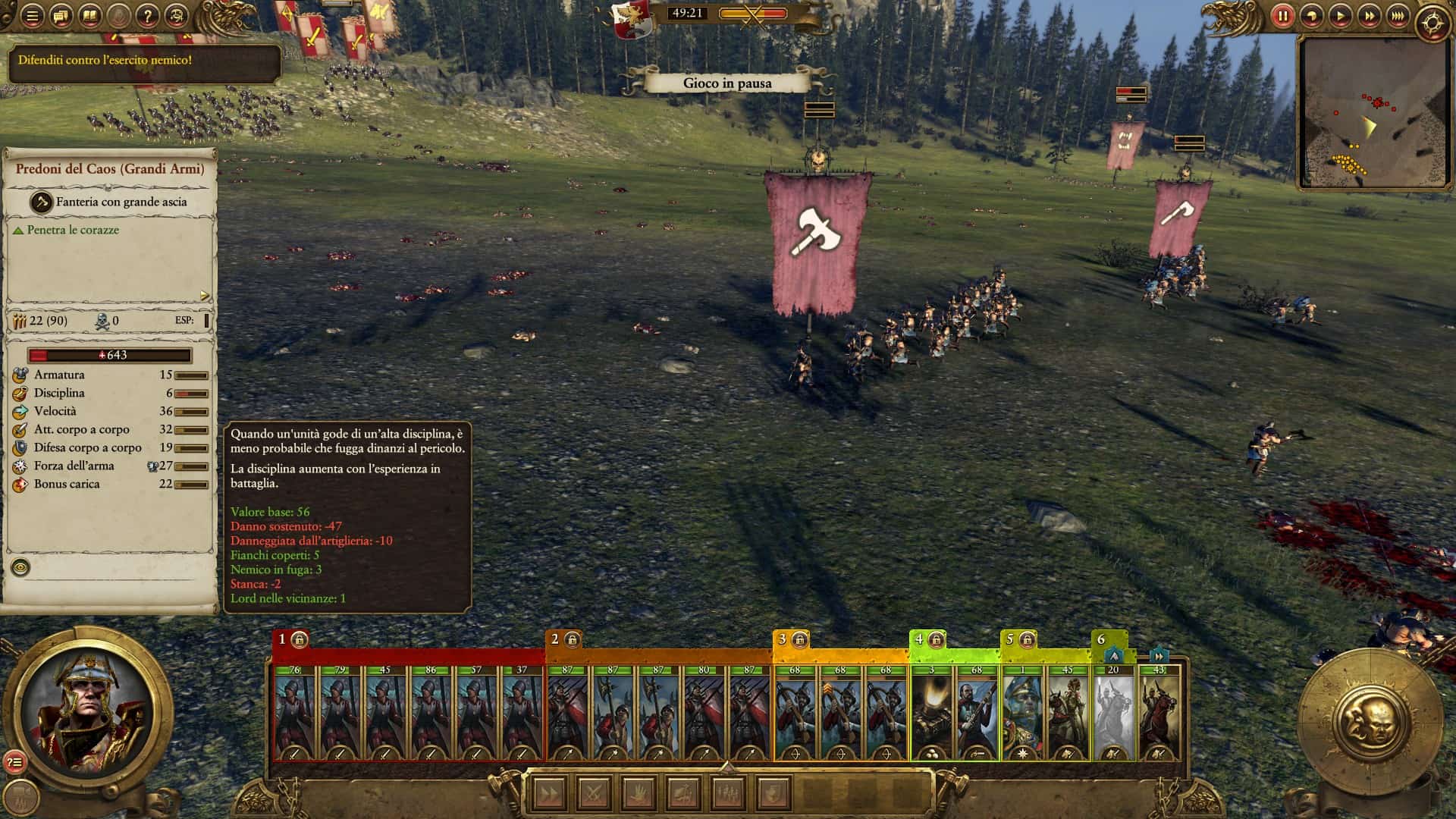 TWW Disciplina