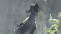 the last guardian